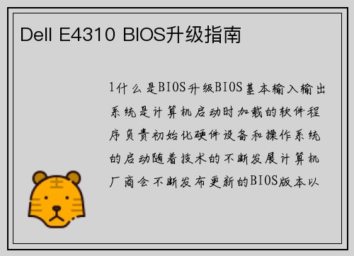 Dell E4310 BIOS升级指南